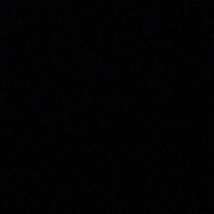 Meet your Posher, Alondra